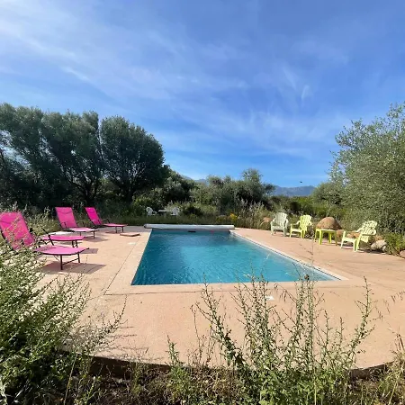 Calenzana Cinque - Appt Avec Piscine Partagee Appartement